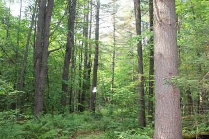 Undeveloped Land in Herkimer County, New York