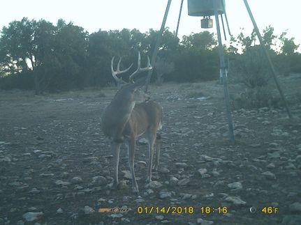 Farm and Ranch in Edwards County, Texas