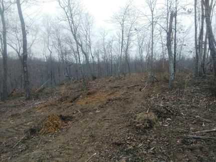 Land in Warren County, Tennessee