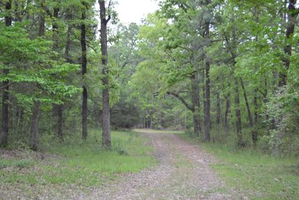 Timberland Property in Houston County, Texas