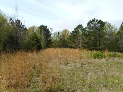Timberland Property in Yazoo County, Mississippi