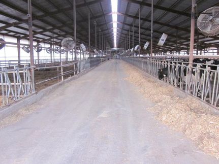 Land in Jasper County, Missouri