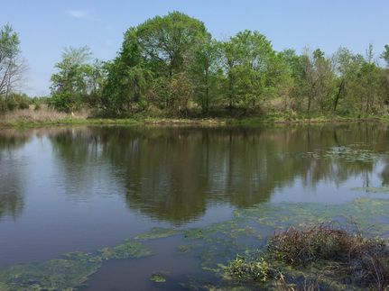 Recreational Property in Titus County, Texas