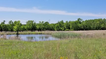 Undeveloped Land in Washington County, Texas