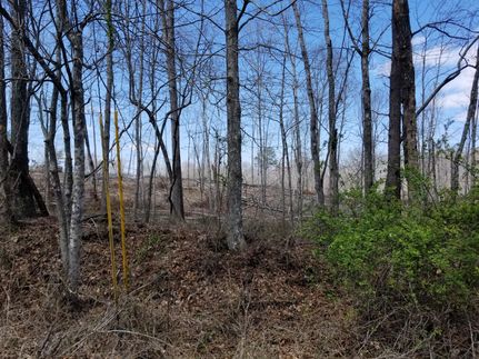 Land in Grundy County, Tennessee