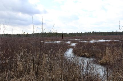 Undeveloped Land in Jefferson County, New York