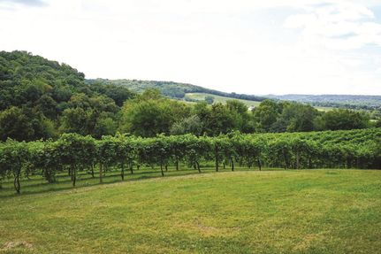 Undeveloped Land in Jo Daviess County, Illinois