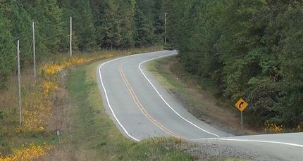 Timberland Property in Grant County, Arkansas