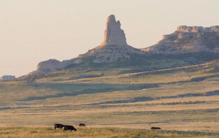 Farm and Ranch in Goshen County, Wyoming