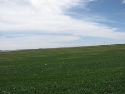 Farm and Ranch in Adams County, Colorado