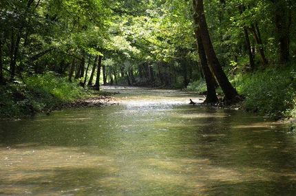 Land in Overton County, Tennessee