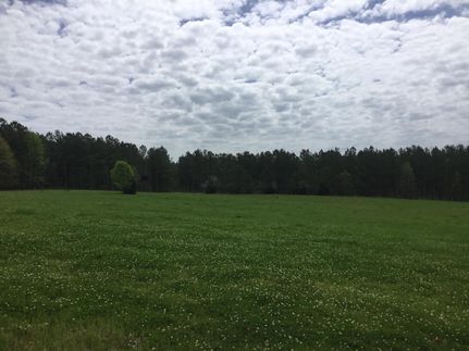 Hunting Property in Laurens County, South Carolina