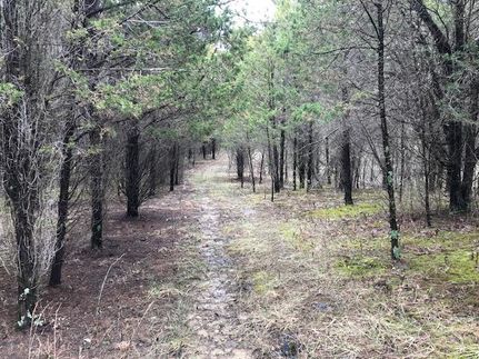 Farm and Ranch in Adams County, Ohio