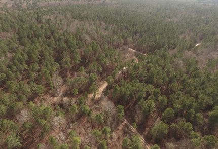 Land in Jefferson County, Arkansas