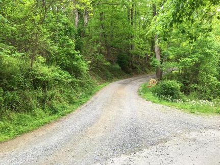 Timberland Property in Roanoke County, Virginia