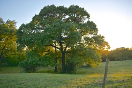 Farm and Ranch in Wood County, Texas
