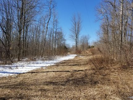 Timberland Property in Osceola County, Michigan