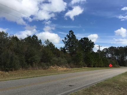 Undeveloped Land in Baldwin County, Alabama