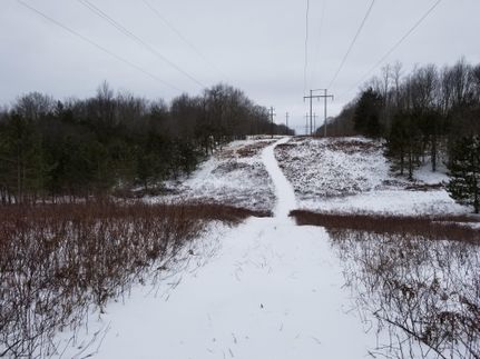 Recreational Property in Osceola County, Michigan