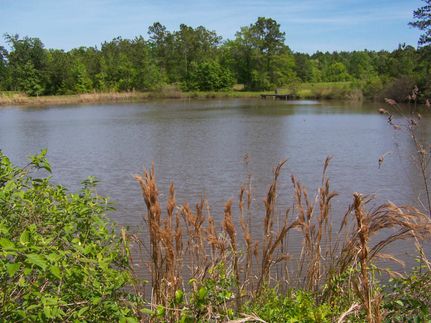 Farm and Ranch in San Jacinto County, Texas