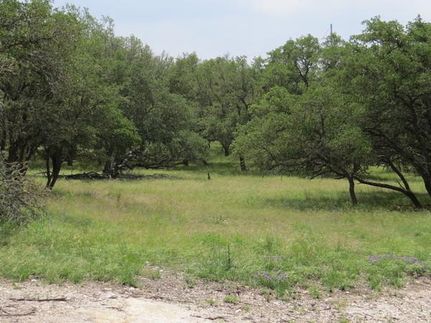 Undeveloped Land in Concho County, Texas