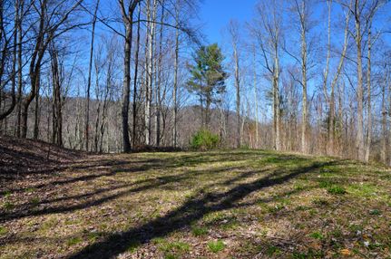 Recreational Property in Madison County, North Carolina