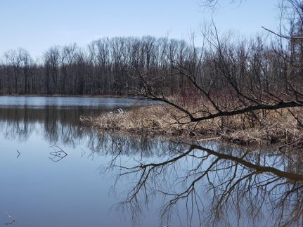 Recreational Property in Barry County, Michigan