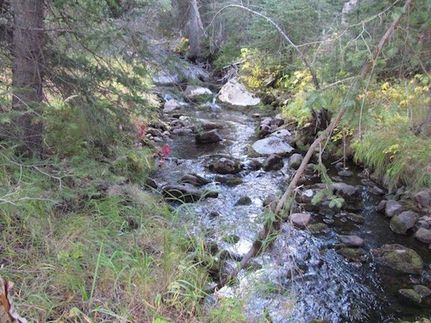 Oceanfront Property in Grand County, Colorado