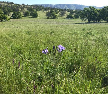 Land in Mariposa County, California