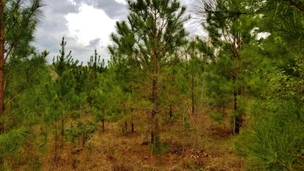 Farm and Ranch in Fayette County, Alabama