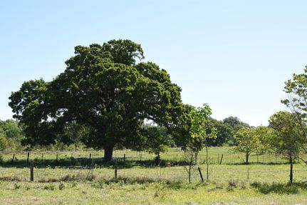 Land in Anderson County, Texas