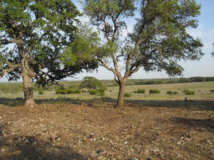 Undeveloped Land in Gillespie County, Texas