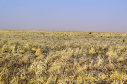 Farm and Ranch in Gaines County, Texas