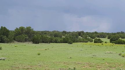Farm and Ranch in Navajo County, Arizona
