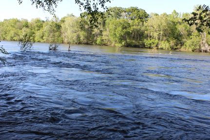 Farm and Ranch in Elmore County, Alabama