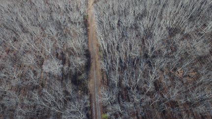 Hunting Property in Rhea County, Tennessee