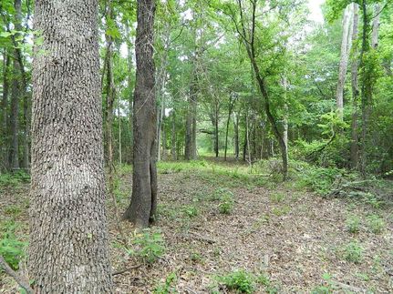 Land in Titus County, Texas