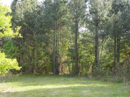 Timberland Property in Red River County, Texas