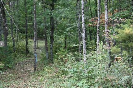 Timberland Property in Marinette County, Wisconsin