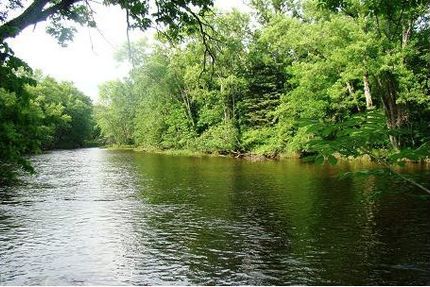 Timberland Property in Marinette County, Wisconsin