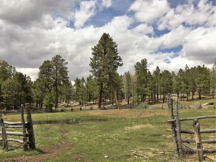 Undeveloped Land in Cibola County, New Mexico