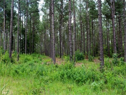 Land in McCormick County, South Carolina