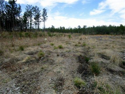 Land in Florence County, South Carolina