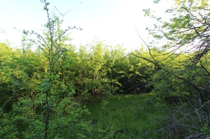 Farm and Ranch in Lamar County, Texas