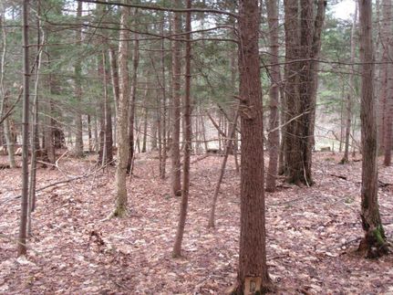 Undeveloped Land in Oswego County, New York
