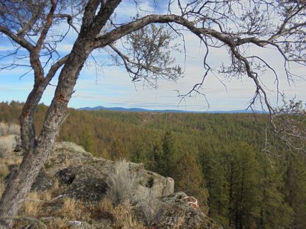 Farm and Ranch in Klamath County, Oregon