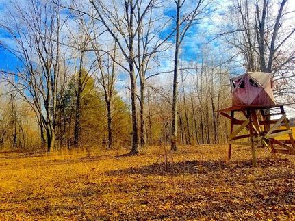 Land in Oregon County, Missouri