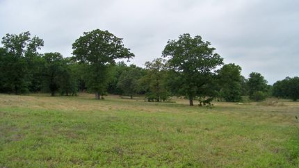 Recreational Property in Henderson County, Texas