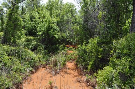 Recreational Property in Taylor County, Texas