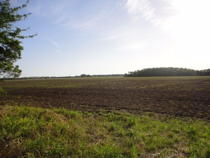 Undeveloped Land in Baldwin County, Alabama